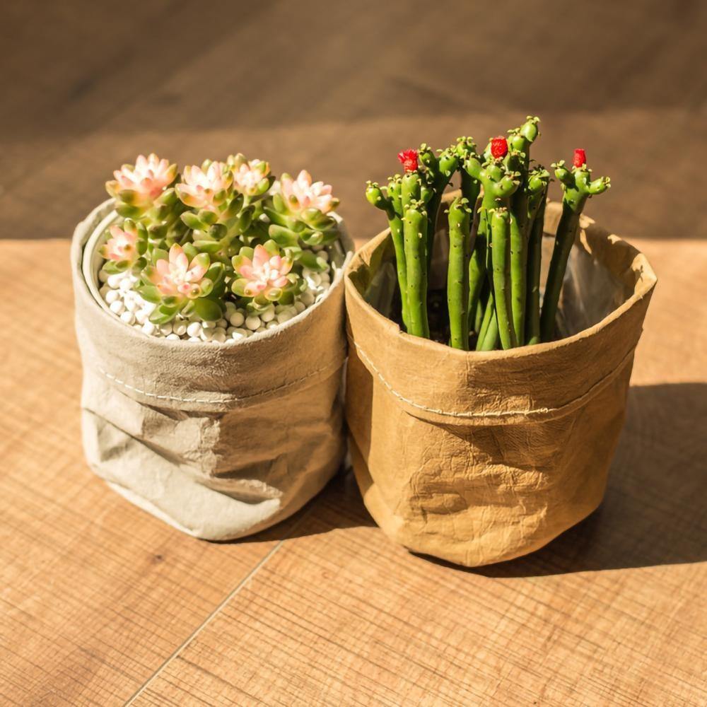 Water-Resistant Sustainable Paper Planter Pouch